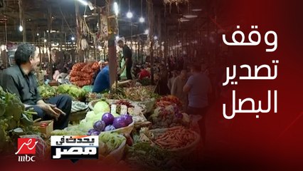 مدير معهد المحاصيل الحقلية بوزارة الزراعة: قرار إيقاف تصدير البصل لمدة 3 شهور سيؤدي إلى انخفاض سعره بالسوق