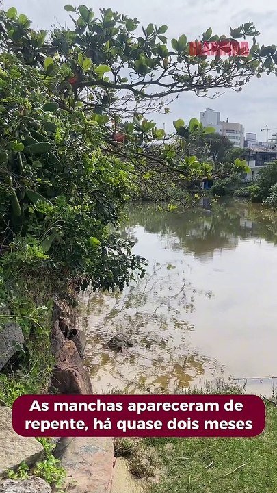 Ribeirão Ariribá aparece com manchas de poluição