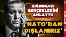 'NATO'dan Dışlanırız' Babüroğlu 'Şakası Yok' Dedi Sığınmacı Gerçeklerini Anlattı!