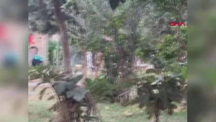 Madde bağımlısı kadın çocukların önünde parkta soyundu