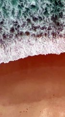 ” Life is a journey to be experienced, not a problem to be solved.” – Winnie The Pooh.