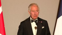 King Charles makes reference to late Queen as he speaks in French at Versailles banquet