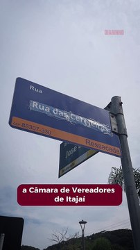 Revolta da comunidade: Câmara volta atrás depois de mudar o nome da rua das Cerejeiras 