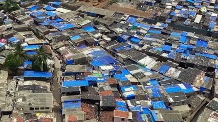 En vigilancia la OMS ante nuevo brote del virus Nipah en la India