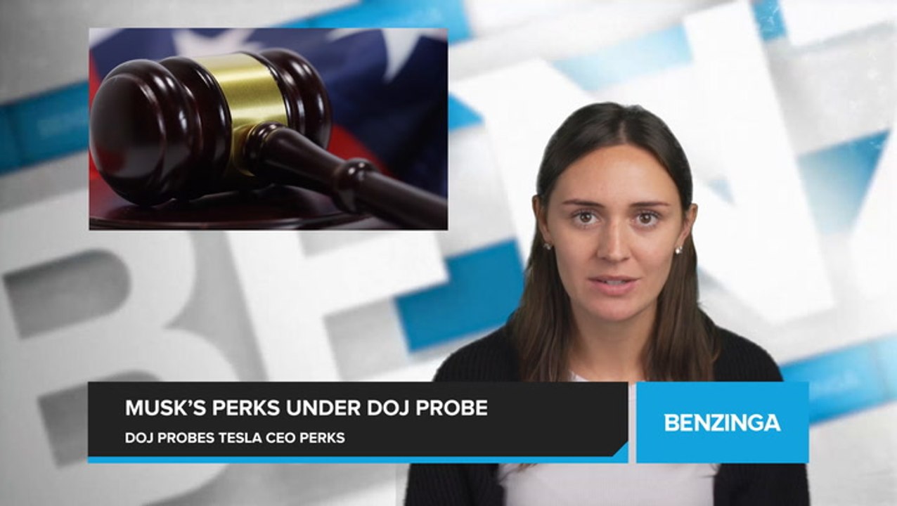 Tesla CEO's Personal Perks Under Scrutiny in US...
