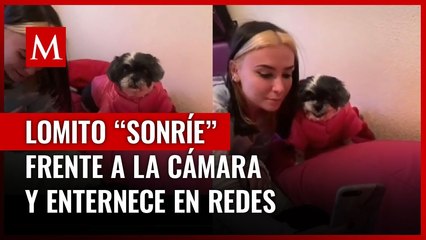 Perrito enternece a internautas por "sonreír" y posar frente a la cámara con su dueña