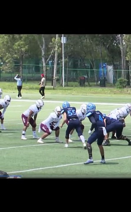 Boom, Bombazo y se va hasta Touchdown, onefa #touchdown #onefa #colleguefootball #highlights