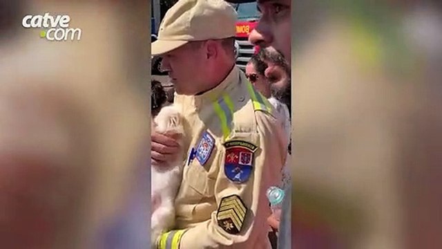 Casal deve responder por crime de maus-tratos após deixar cão trancado em carro sob sol escaldante