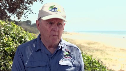 Plastic beads wash up on beach near Brisbane after pipe breach