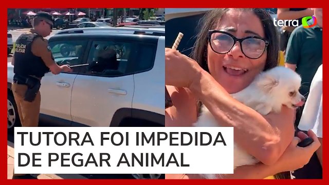 Policial quebra janela de carro para resgatar cão preso no porta-malas