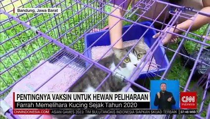 CNN INDONESIA GOOD MORNING 1784 LIVE