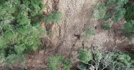 Jenolan Caves Road Damage Update 🚧