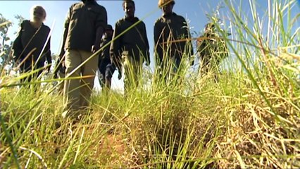 NT rangers call for extension of carbon credits program to savanna burning