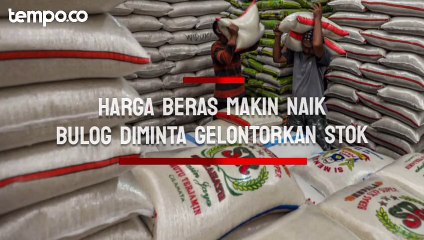 Harga Beras Kian Meroket, Aprindo Minta Bulog Gelontorkan 2.500 Ton ke Ritel Setiap Bulan