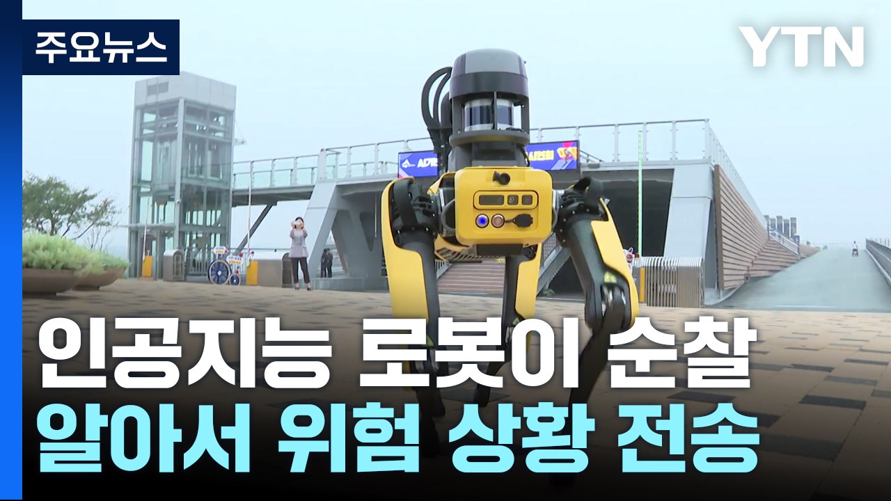 인공지능 로봇이 순찰도는 세상...알아서 위험 상황 전송 / YTN