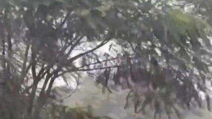 ములుగు: జిల్లాలో ఈదురు గాలులతో భారీ వర్షం