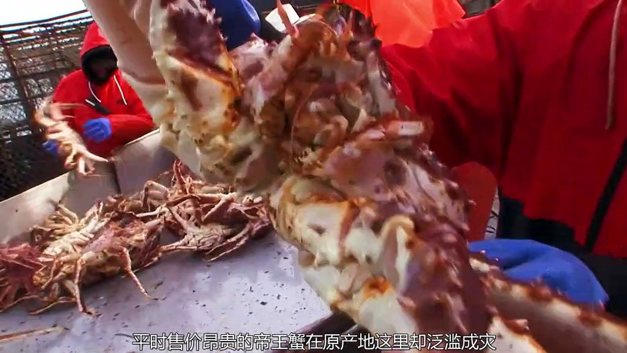 "Into the Abyss: Life and Death in the World's Deadliest Waters"