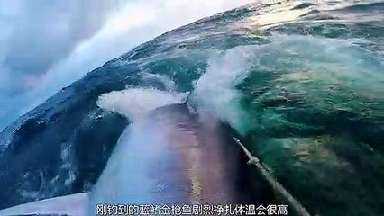 Masters of Stealth: The Art of Hunting in the Ocean's Shadows