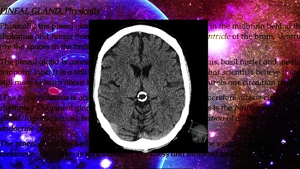 TPZ S4 Episode 1-  OBE (Out Of Body Experience) – Part 1