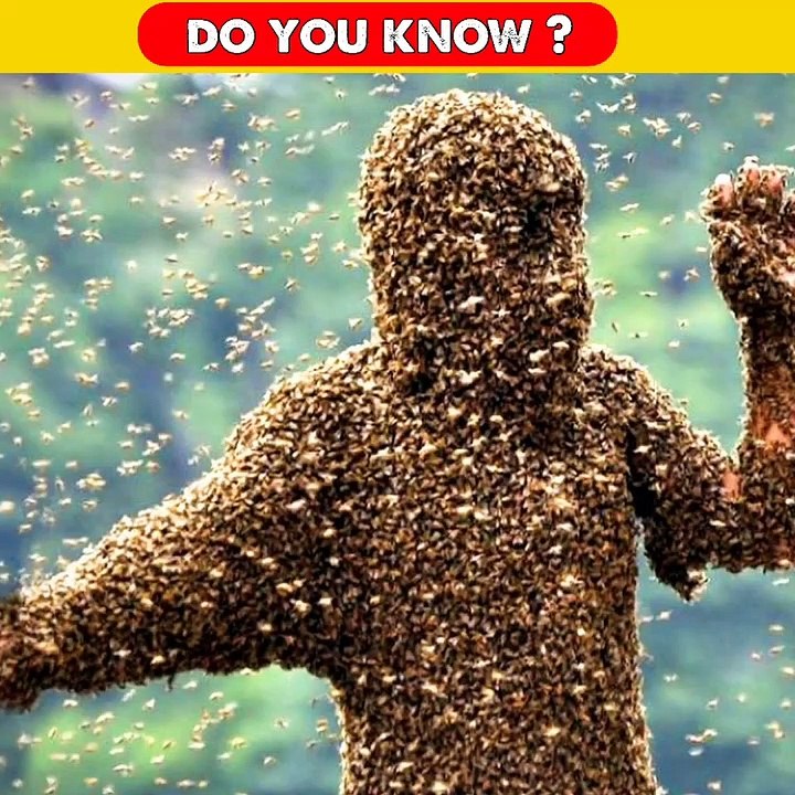 Mind Blowing Facts About Animals