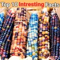Top 10 intresting Facts in Hindi
