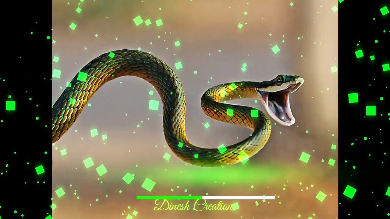 Tere Sang Pyar Mai Nhi Todna ( Nagin Benjo Cover) Cg Dj Sanjay Rawte(Fl Studio Mobile Mix)