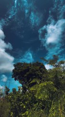 Nature beauty... @dailymotion