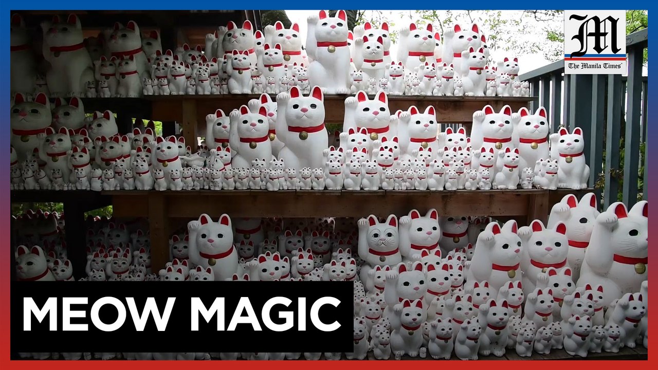 The lucky cat