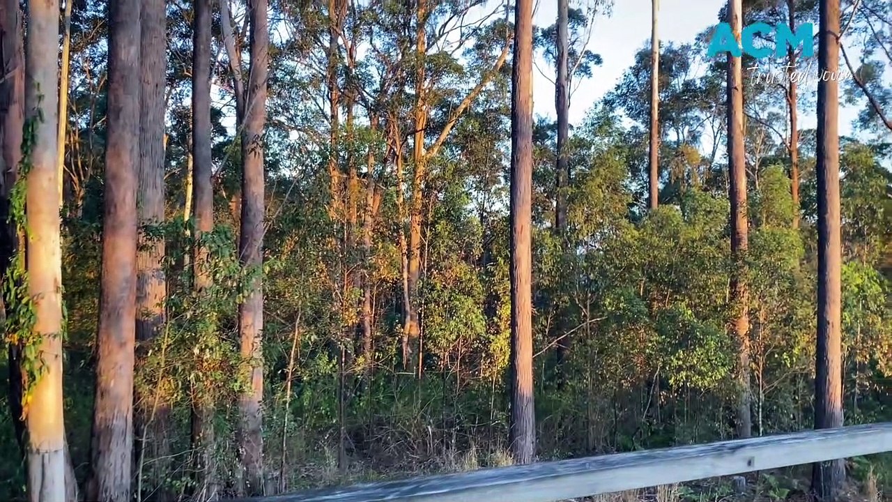 "Noisy" silence at Stewarts River