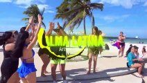 Belly dance flashmob Mexico _ Alma Latina