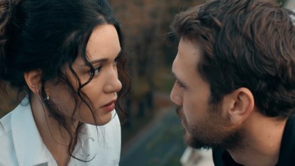 مسلسل الحفرة - الحلقة 248 مدبلجة بالعربية | دراما مثيرة من حي اسطنبول