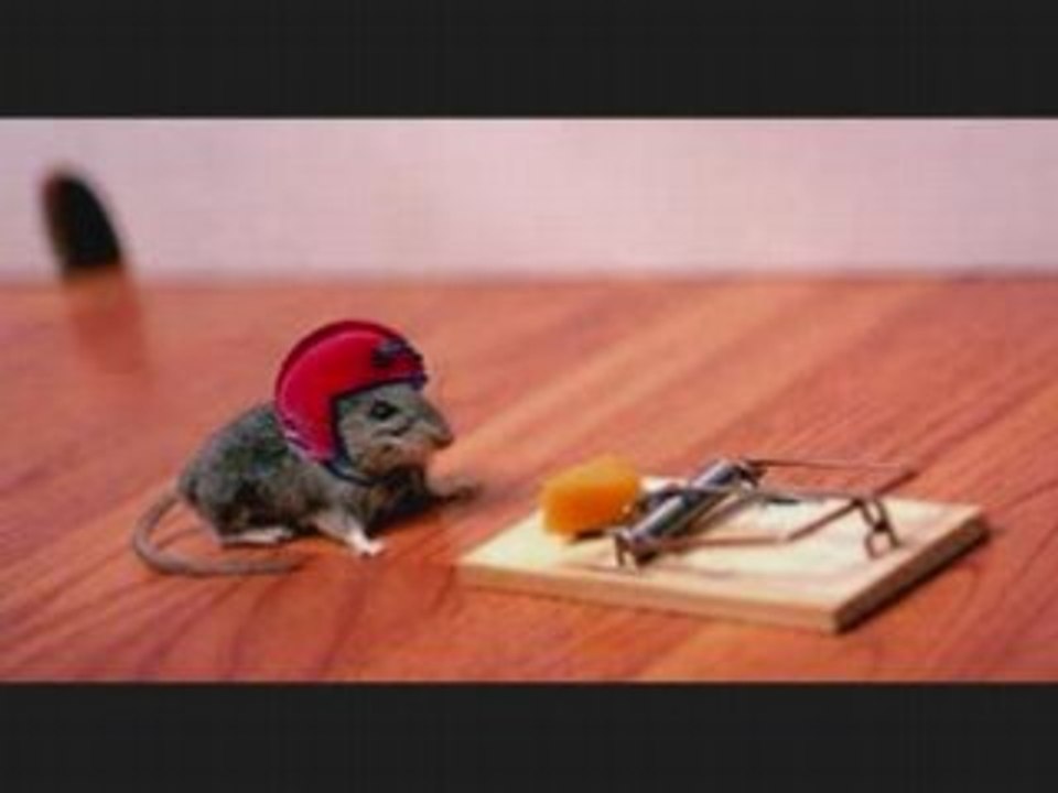 Mouse Storie les souris hards rokeuses