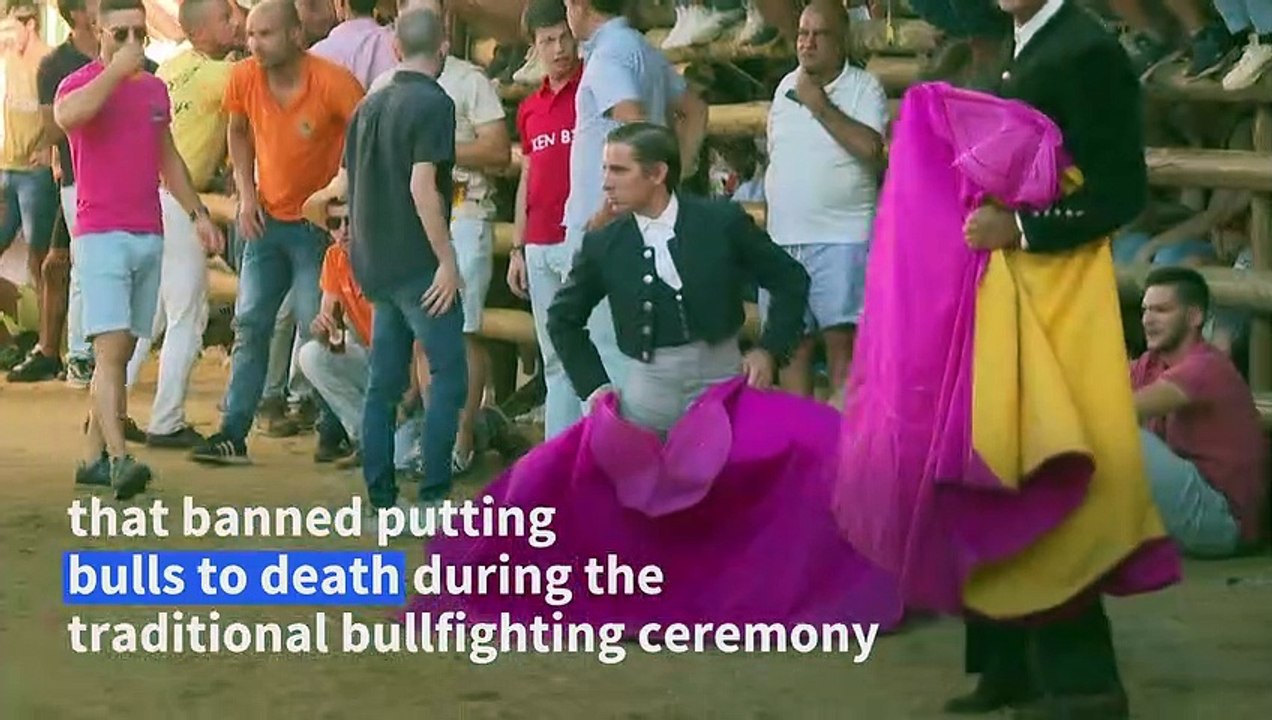 Portuguese fight to preserve bullfighting excep...