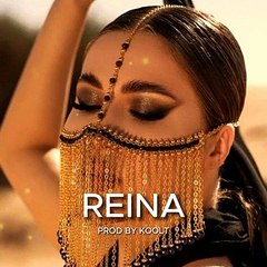 Dj LuLi - REINA Remix