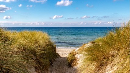 Tödliche Keime: Vorsicht beim Ostsee-Urlaub?