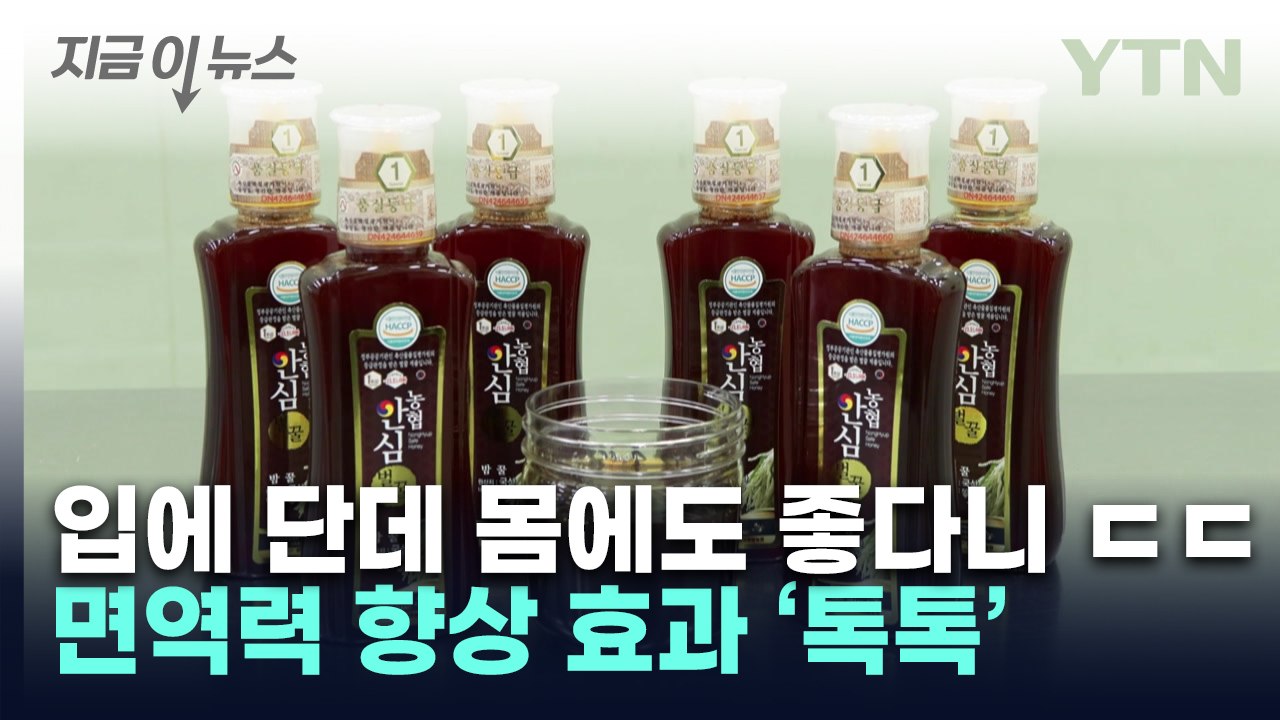 [녹색] 국내산 밤꿀 면역력 향상 효과 '톡톡' / YTN