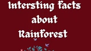 Intersting facts about Amazon rainforest #facts