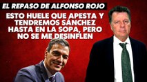 Alfonso Rojo: “Esto huele que apesta y tendremos Sánchez hasta en la sopa, pero no se me desinflen”