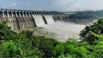 MP News: लगातार हुई बारिश से बांध और जलाशय हुए लबालब, कहां कितना पानी, जानिए?