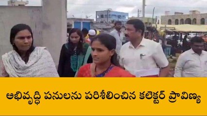 వరంగల్: పురపాలక సంఘం పరిధిలో కలెక్టర్ పర్యటన..