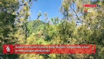 Adana'daki orman yangını söndürüldü! 2 hektar alan zarar gördü