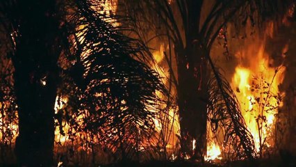 RSF denuncia ameaças, pressões e agressões contra jornalistas na Amazônia