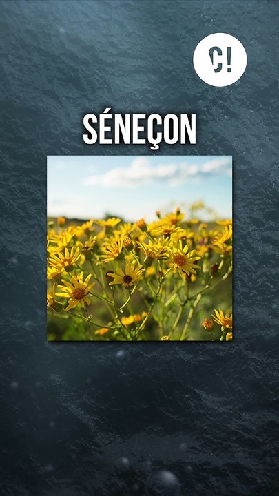 L'étrange affaire des pantalons qui EXPLOSENT