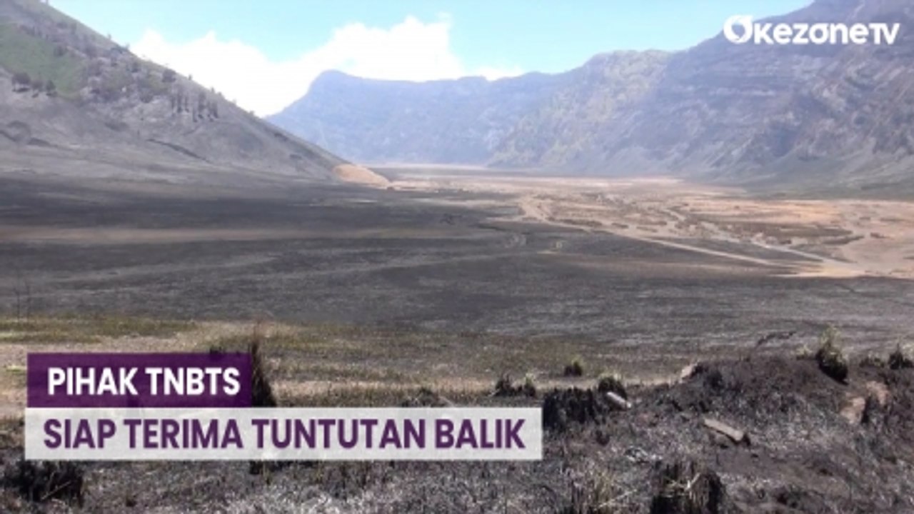 Pihak TNBTS Siap Terima Tuntutan Balik Calon Pengantin yang Picu Kebakaran Bromo