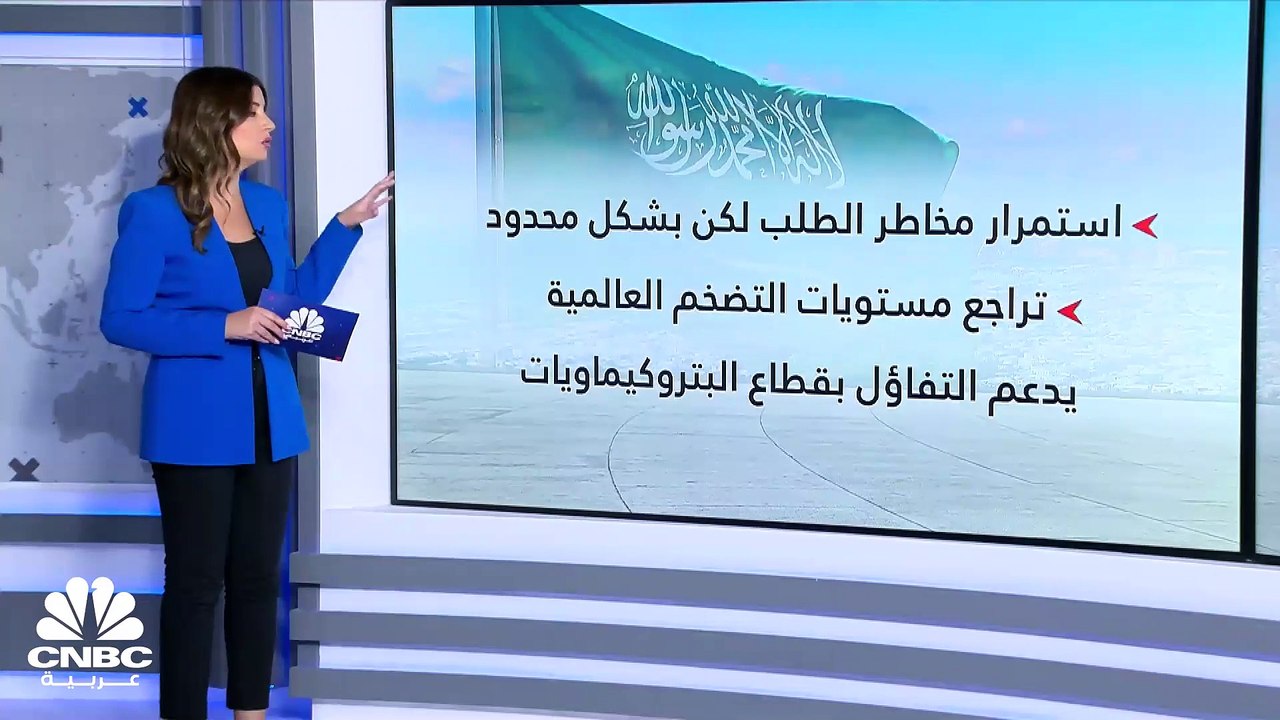 قطاع البتروكيماويات في السعودية.. متى سيدخل مرح...