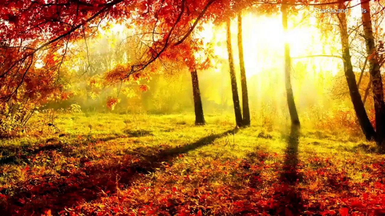 Sleep Music, Yoga Music, Spa Music, Relaxation Music | Sparkle and Thrills