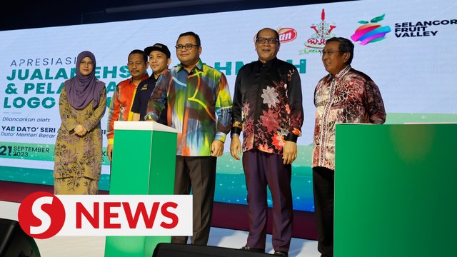 Amirudin: Selangor residents can buy 5kg bag of local rice for RM13 in state