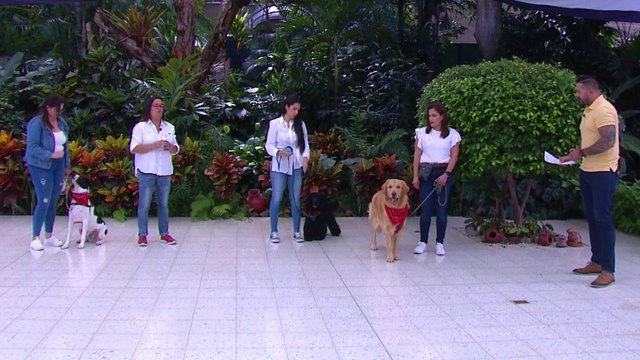 bd-ladridos-y-gruñidos-comunicacion-de-nuestros-perros-210923