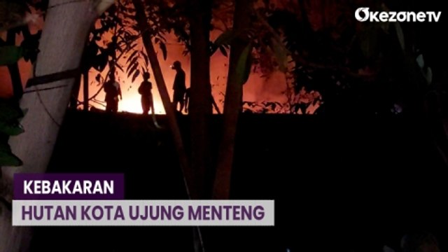 Diduga Ada Pengunjung Bermain Api, Hutan Kota Ujung Menteng Terbakar