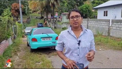 A MOTHER IS HURTING: TRAGIC SCENE AT THE GUANAPO HEIGHTS MURDERS